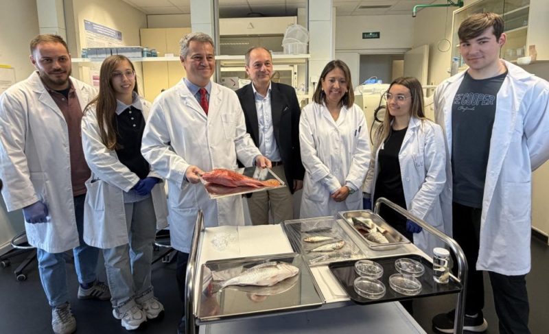 不再苦等捐贈者，魚鱗製人工角膜有望解決全球移植短缺困境