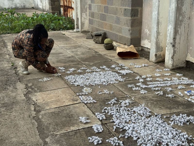 肯亞破獲走私案，行李箱藏千隻螞蟻：官方警告將造成經濟與生態危機