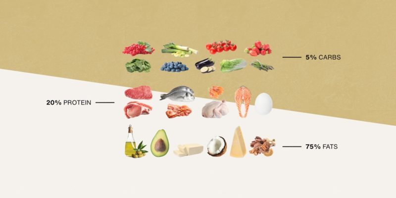 研究發現生酮飲食可穩定腦部能量、降低癲癇發作風險