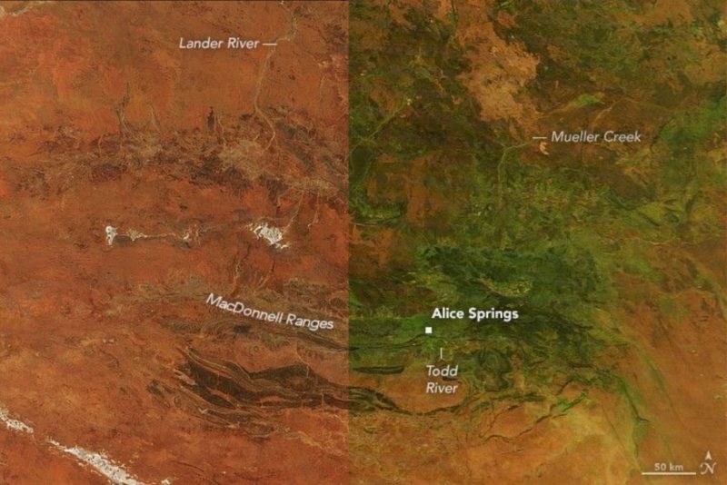 極端氣候改變地貌，澳洲紅土中心因強降雨變「綠」了