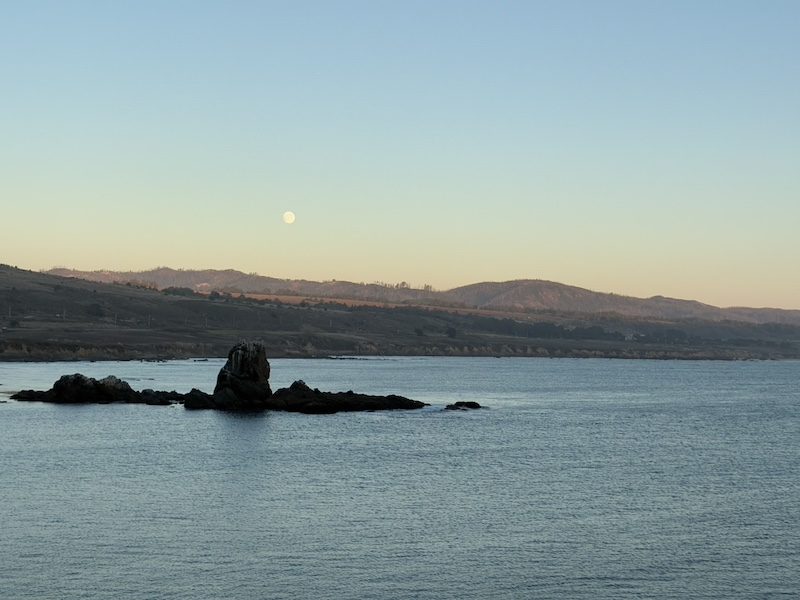 海溫打破百年紀錄，科學家：加州乾燥舒爽氣候將消失