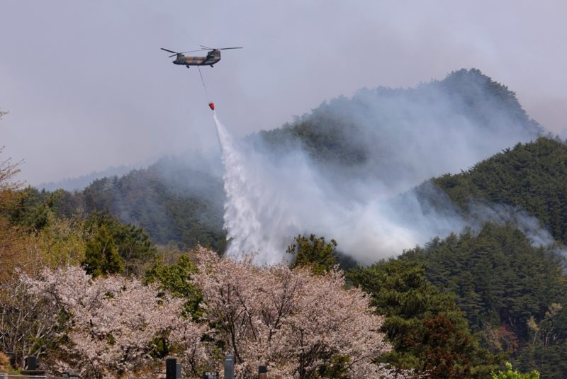 日本岩手縣野火延燒六天，311 強震災民再與天災搏鬥