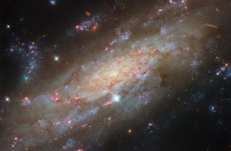 銀河系的遙遠倒影？透過 NGC3137 一窺 5,300 萬光年外的星系動力學