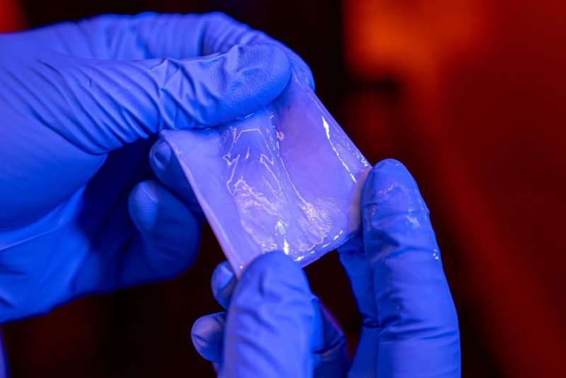 科學家「調教」細菌造出高強度超級材料，有望取代塑膠製品