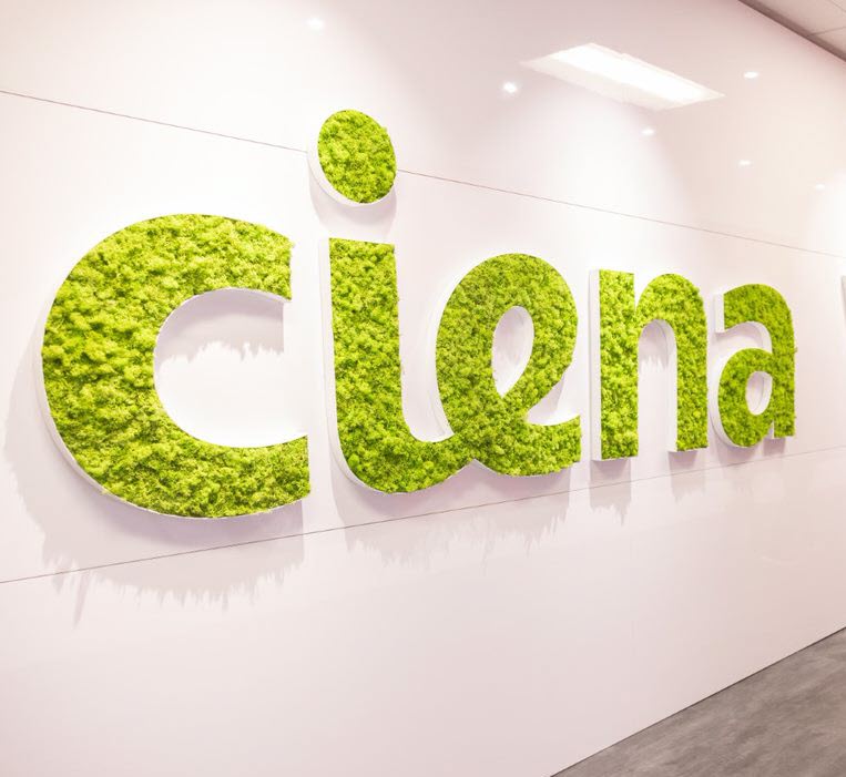 光通訊飆股 Ciena 財測平平  股價摔 13%