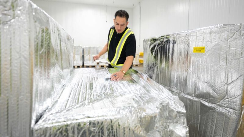 搶瘦瘦針物流商機  UPS 砸 4,800 萬美元強化冷鏈