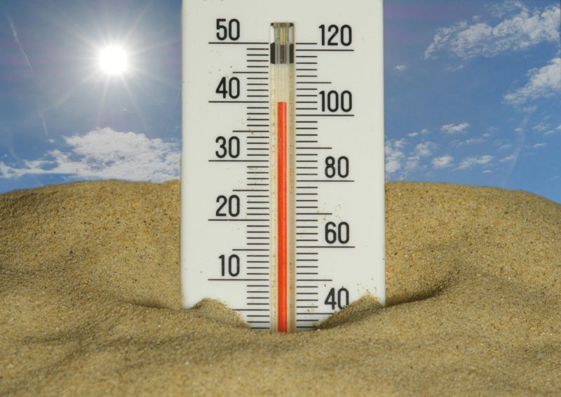 IPCC 主席：歐洲熱浪嚴重程度超出部分預測