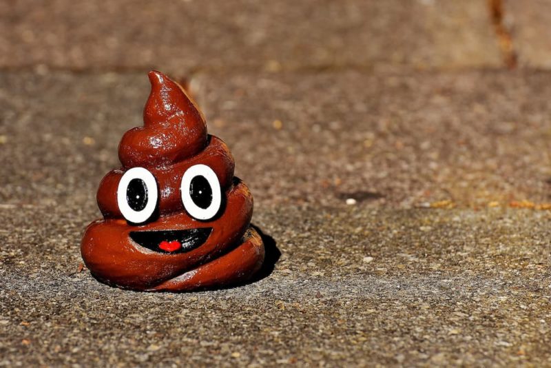 大便 Emoji 為何長這樣？最新研究揭開經典螺旋造型謎團