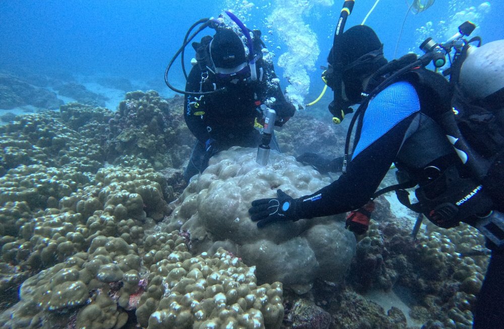 Millennia of Coral Data Links Warming to Stronger El Niño