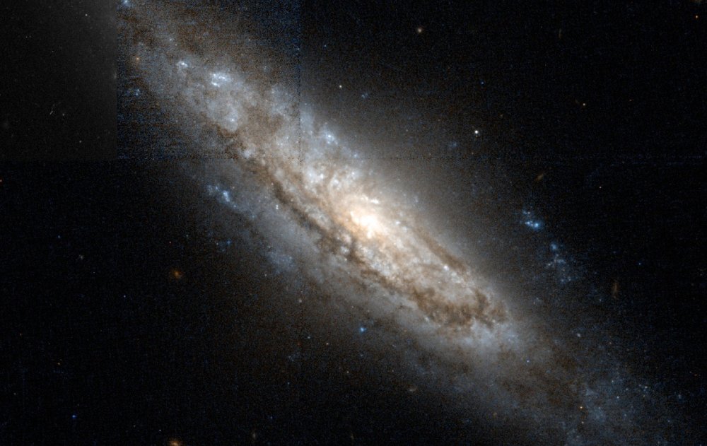 自掏腰包建天文台追星，日本「最強業餘天文家」再擒鹿豹座 II 型超新星