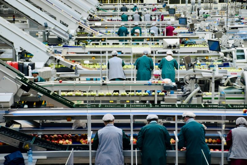 食品製造業 AI 轉型大解密，選對平台不如打好「數據與信任」的基礎