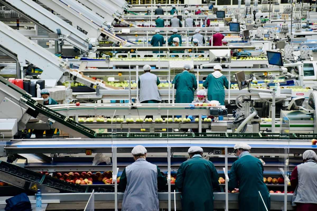 食品製造業 AI 轉型大解密，選對平台不如打好「數據與信任」的基礎
