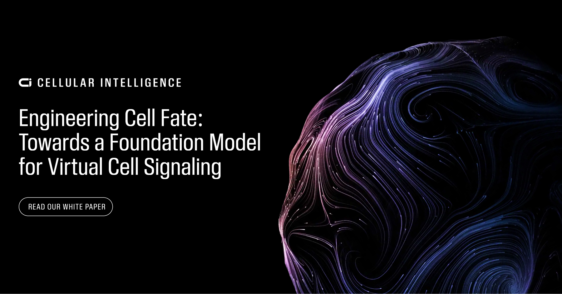 楊立昆與莫德納共同創辦人加入 Cellular Intelligence，以巴金森氏症細胞療法驗證 AI 製藥